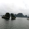 阿丽