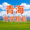 青海中高考付老师