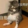 重生后我变成百万绘画博主
