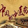 徒手真功夫