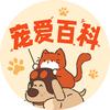 宠爱百科智囊团