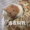 Ta说Ta是岛民