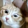 小可可大可小