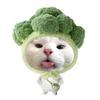 脏脏不嘻嘻