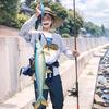 🎣老五🎣