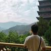 加哥去哪儿