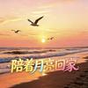 ✨陪着月亮回家✨