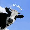 疯狂奶牛🐮
