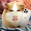 榴莲追剧