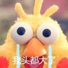 随遇而安（无所不能版）