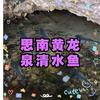 黄龙泉清水鱼塘