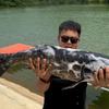 95后垂钓园老板日常