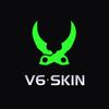 V6SKIN