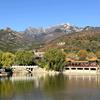 泰山 竹影清风HQ