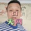 口天网