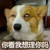 跟bl妹讲清楚道理比给猪开智还难
