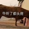 勿语必言