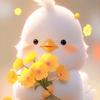西瓜莎莎