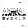 踏趣荒野