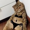搞笑小海