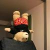 找个游戏搭子3