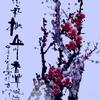 心追远方