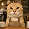 猫meme 柴胡