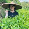 娜娜茶叶🍵