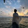 物流小杨