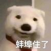 发财啦