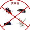 ╭┈专业四害消杀🔥 蚊虫鼠蚁🐜