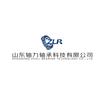 A山东轴力轴承科技有限公司