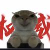 猫meme的小剧场