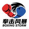 拳击风暴