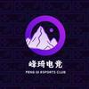 峰琦电竞(19.9 300W)