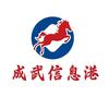 成武信息港✨