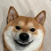 西西艺