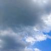 文明重启丶橙子