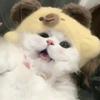二A分之负B加减根号下B平方减四AC