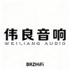 BRZHIFI佛山市博瑞远大科技有限公司影音专卖店