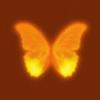 MOSs_L10