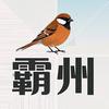 霸州麻雀