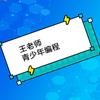 王老师青少年编程