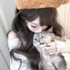 猫咪