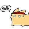 追风