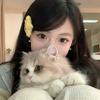 小懒猫🐱