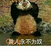 裸辞编制堂哥朱春九