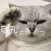 润墨