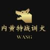 特战训犬WANG