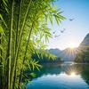 ✨清风吹期许✨